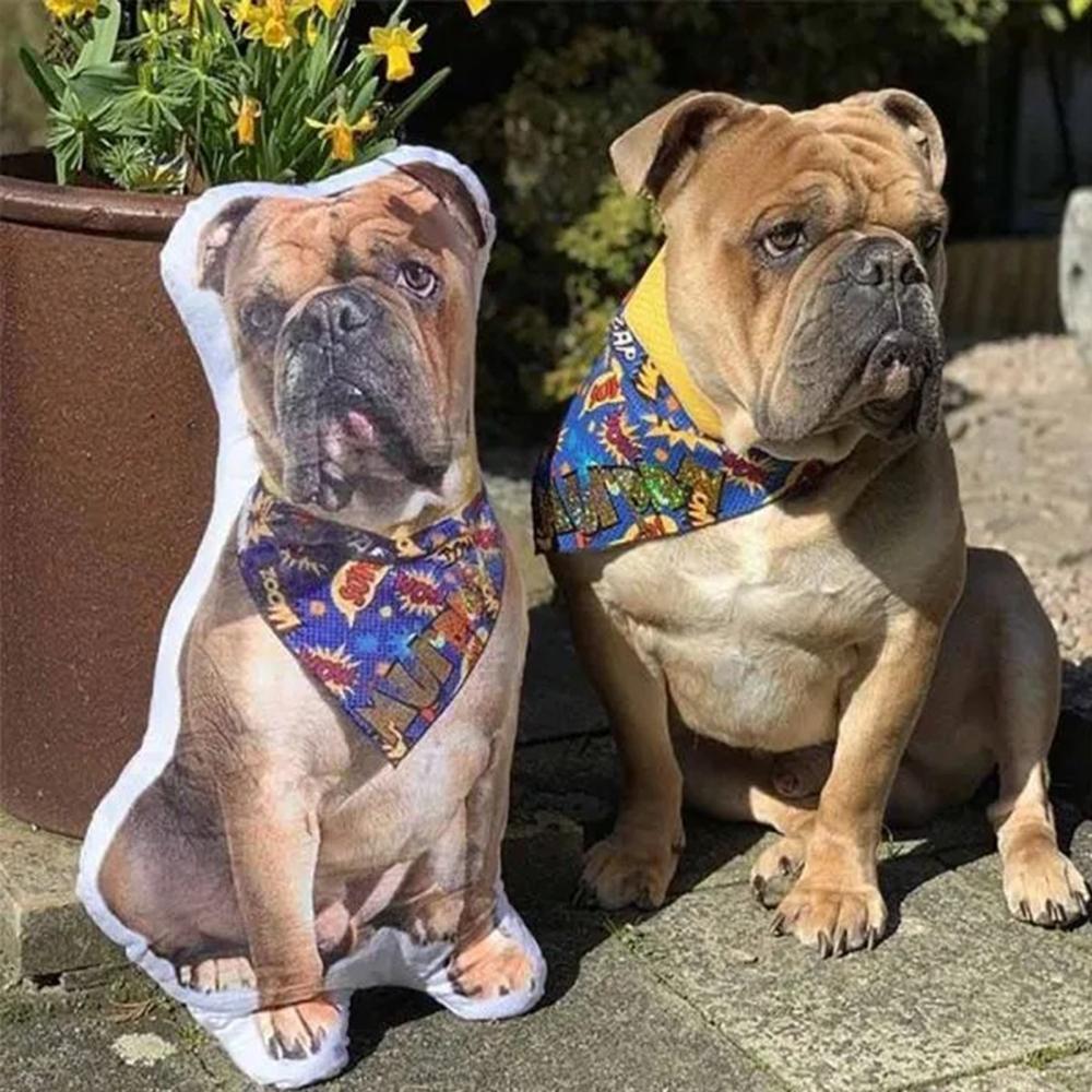 Custom Photo Pet Face Pillow 3D Portrait Pillow - MyFaceSocksAu