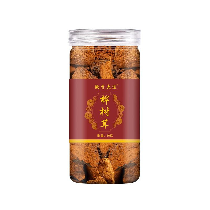 西伯利亞樺樹茸