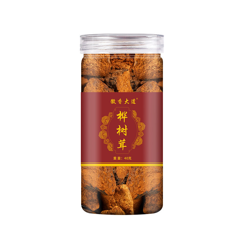 西伯利亞樺樹茸