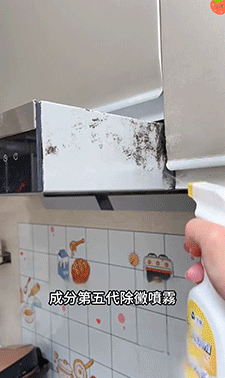 4.gif
