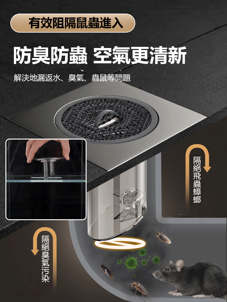 【不銹鋼面板】防臭帶蓋地漏
