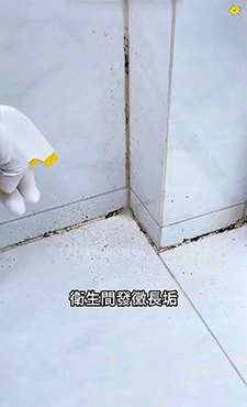 1.gif
