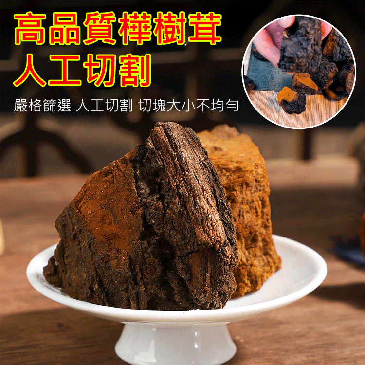 西伯利亞樺樹茸