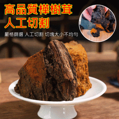 西伯利亞樺樹茸
