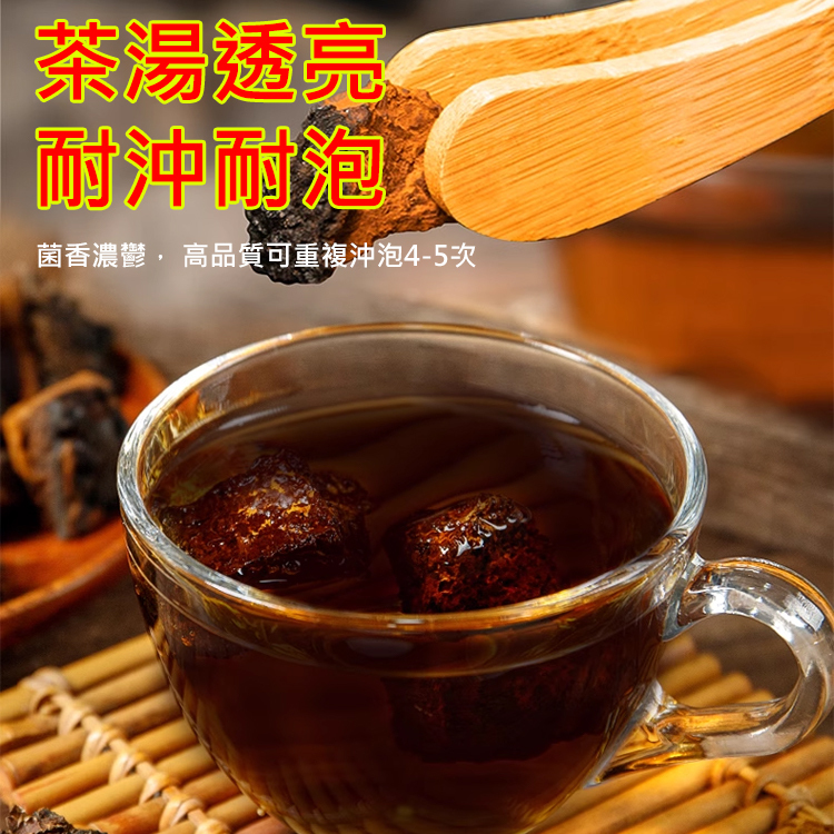 西伯利亞樺樹茸