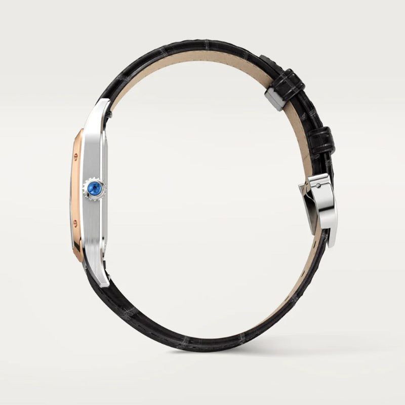 CARTIER サントス-デュモン ウォッチ Ref:W2SA0012-最安値に挑戦中!!!