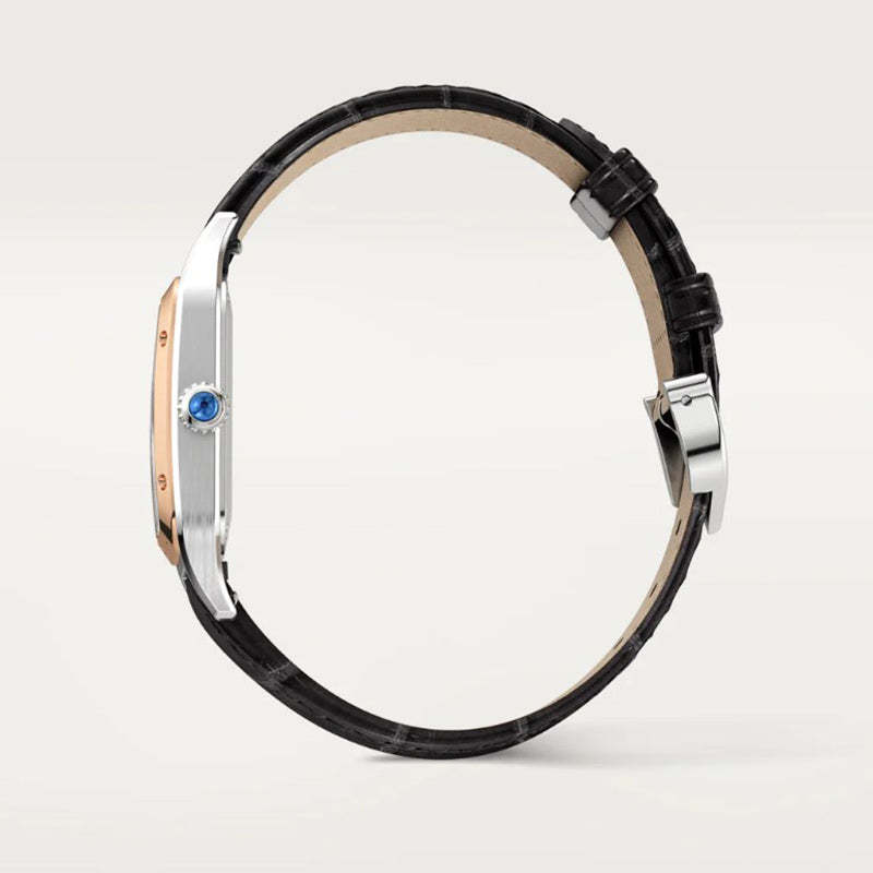 CARTIER サントス-デュモン ウォッチ Ref:W2SA0012-最安値に挑戦中!!!