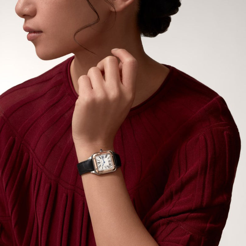 CARTIER サントス-デュモン ウォッチ Ref:W2SA0012-最安値に挑戦中!!!
