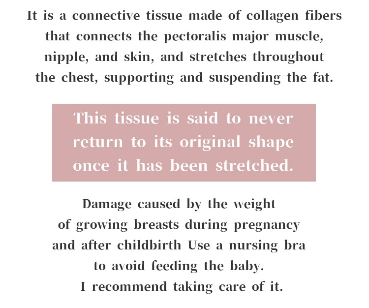 Maternity-Nursing-Bra-yl12009.jpg