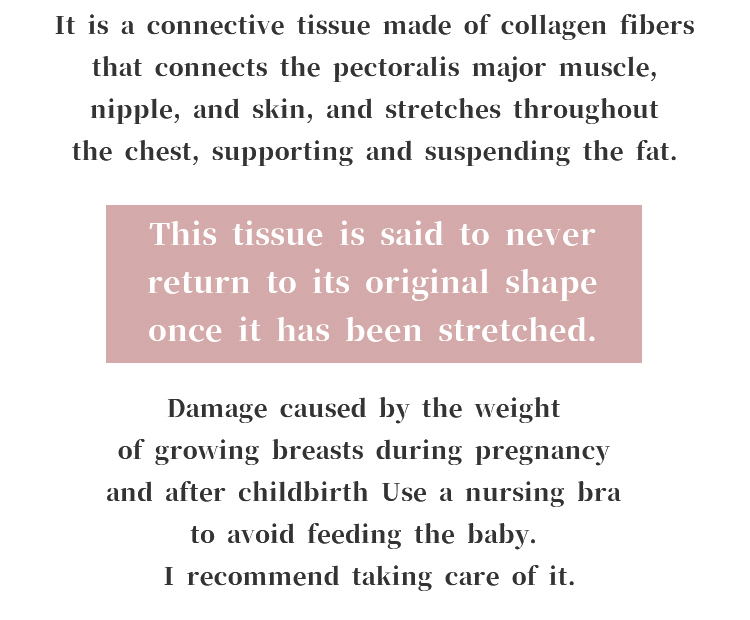 Non-wired Nursing Bra Stretch Firmly VEIMIA