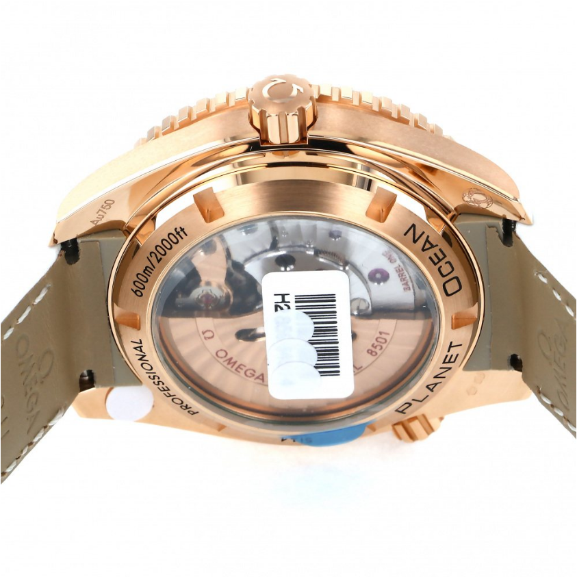 オメガ OMEGA 腕時計 シーマスター プラネットオーシャン 600M コーアクシャル 232.58.42.21.04.001