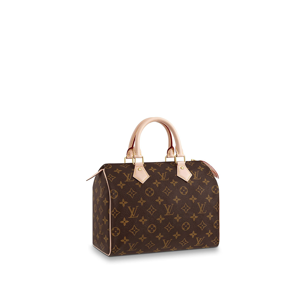 LOUIS VUITTON（ルイヴィトン）スピーディ 25 モノグラム ハンドバッグ
