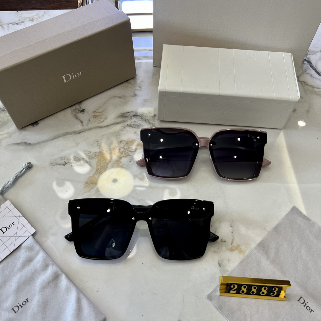 ディオール サングラス Dior Tag レディース 2色