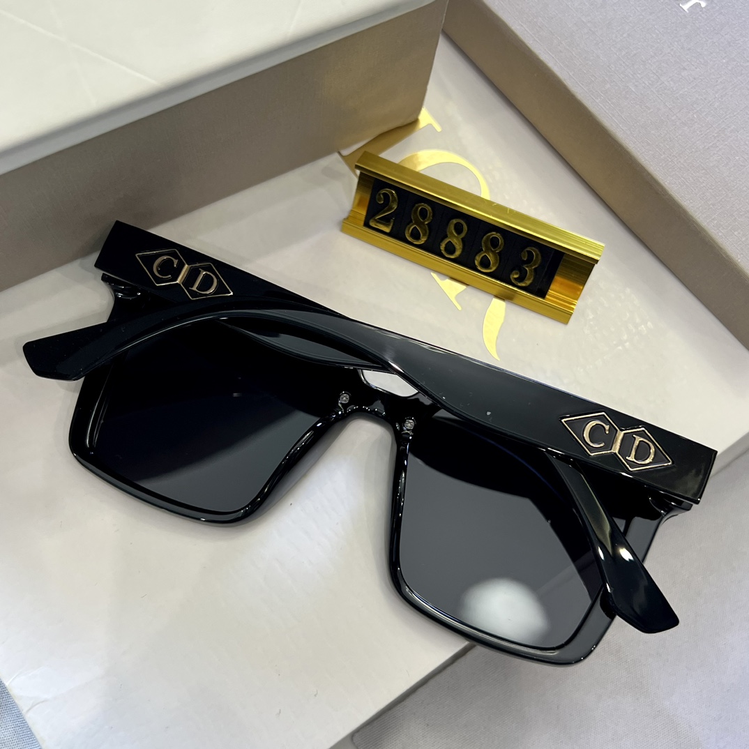 ディオール サングラス Dior Tag レディース 2色