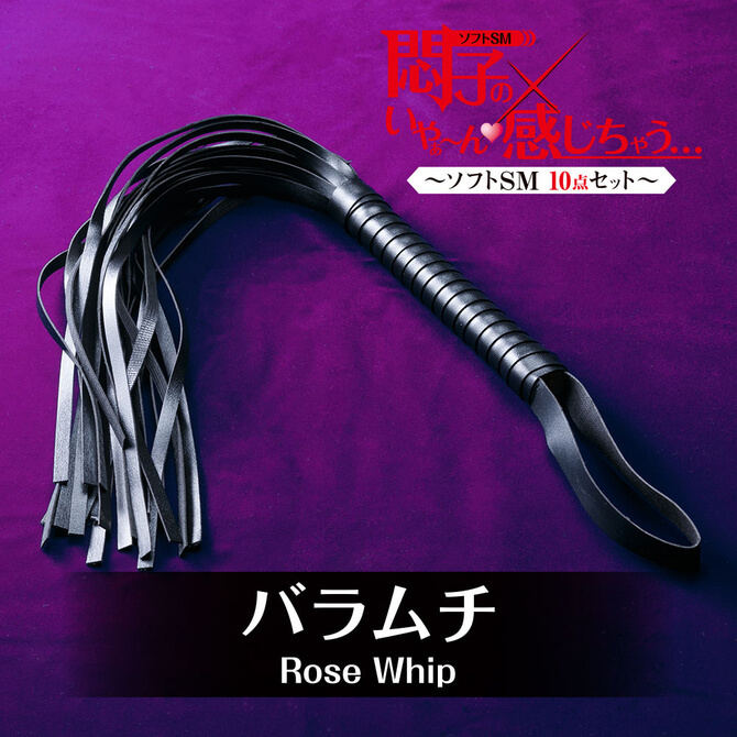 T-BEST 悶子的SM凌辱入門十件裝