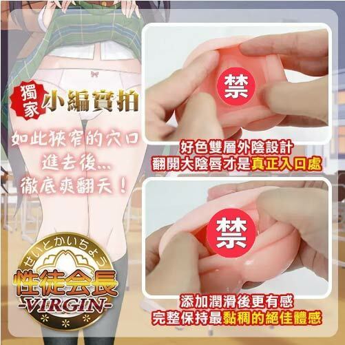 Toysheart 性徒會長 處女小穴版 動漫名器飛機杯-SING DR