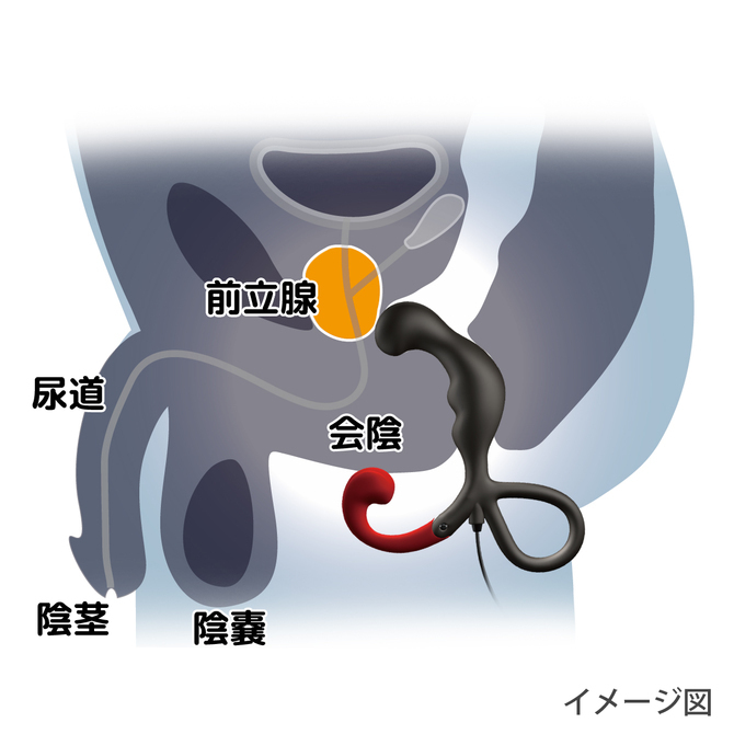 SSI Japan Enemable R Type 2 前列腺震動器，強力內置馬達，三段可調刺激臂，120種震動選擇，舒適矽膠。