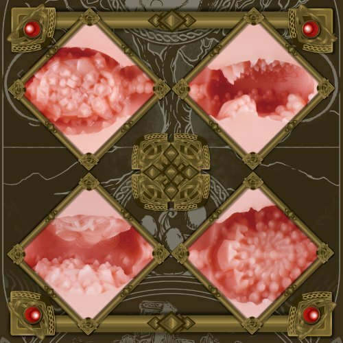 ToysHeart  召喚術師美穴 動漫飛機杯-SING DR