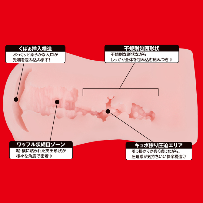 EXE Japanese Real Hole 淫 安齋拉拉 女優名器飛機杯