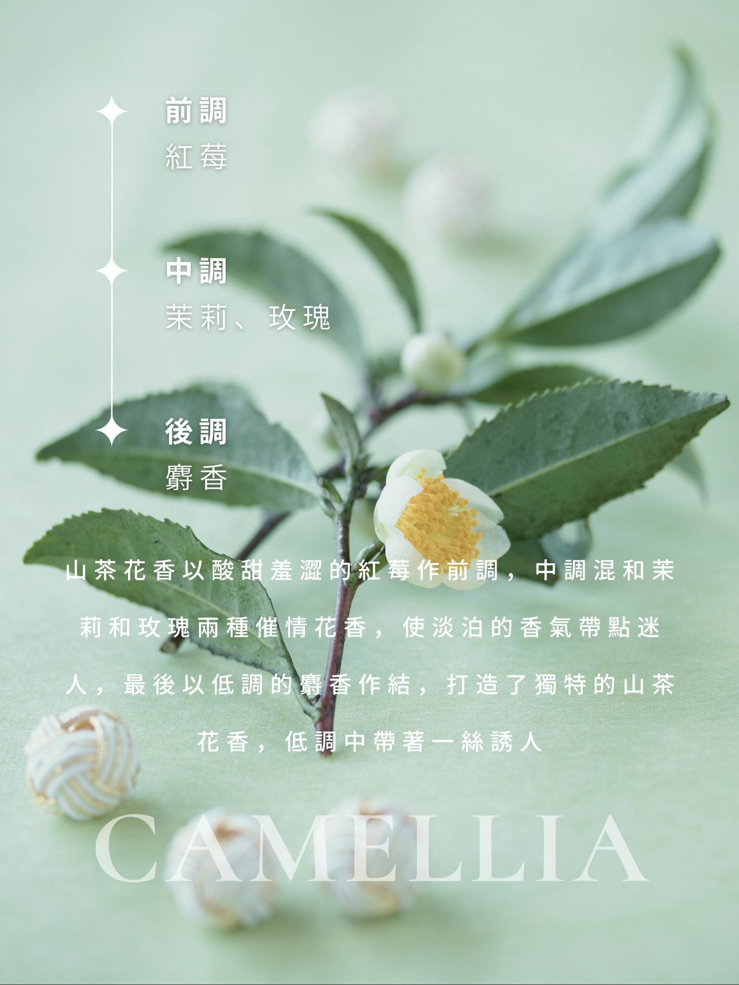 APS 費洛蒙香水 山茶花 Camellia-SING DR