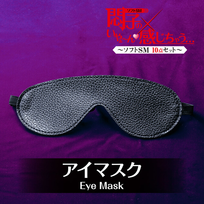 T-BEST 悶子的SM凌辱入門十件裝