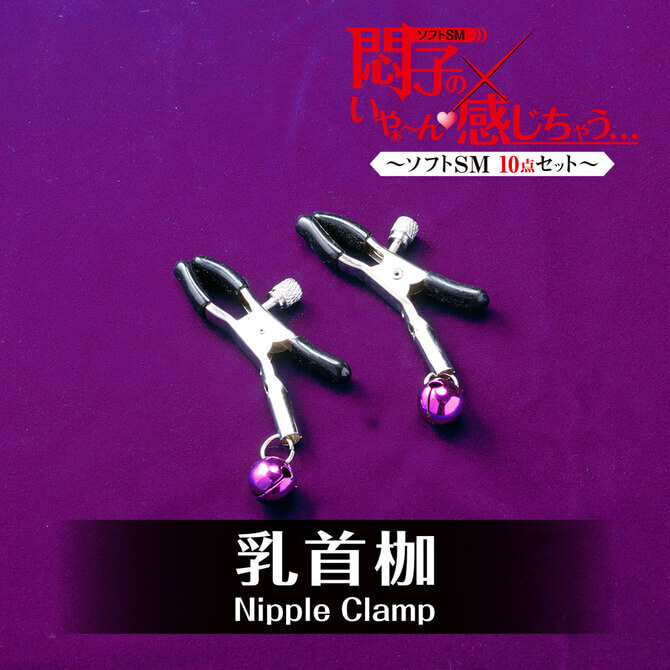 T-BEST 悶子的SM凌辱入門十件裝