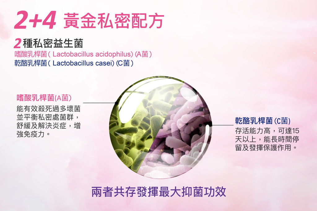 TS6 私密優菌C天然益生菌，女性私密保健食品，每日補充提升舒適感