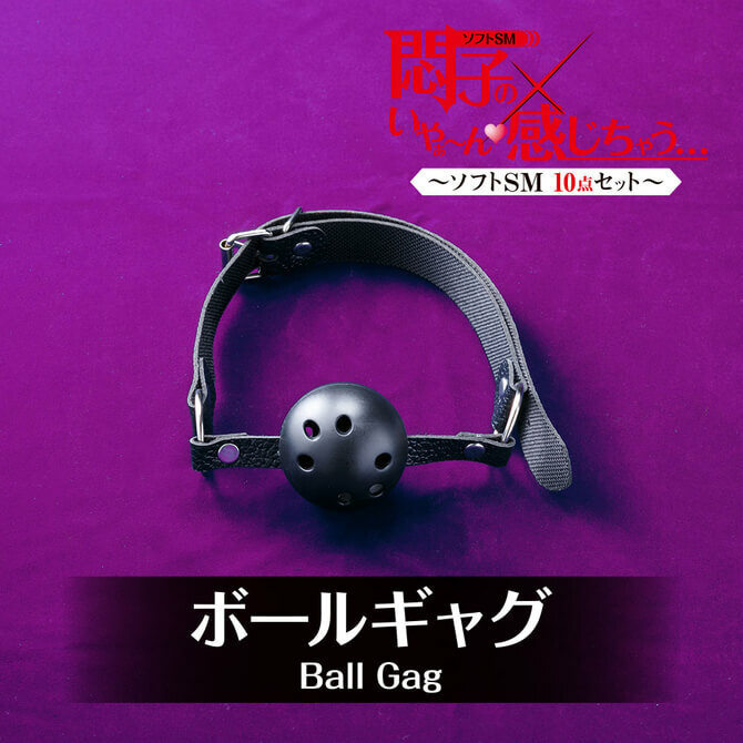 T-BEST 悶子的SM凌辱入門十件裝