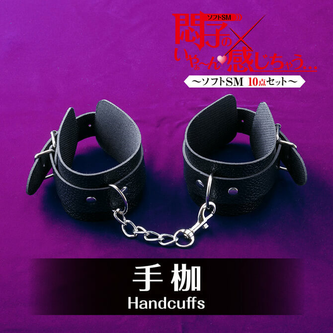 T-BEST 悶子的SM凌辱入門十件裝