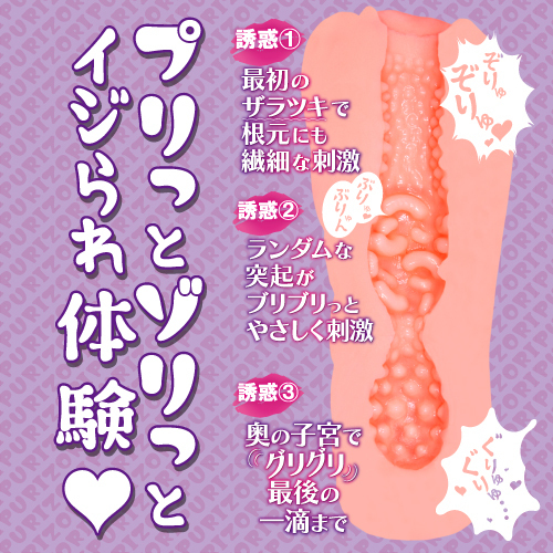 Toysheart 如果住在隔壁的肉感辣妹人妻來誘惑我 動漫飛機杯-SING DR