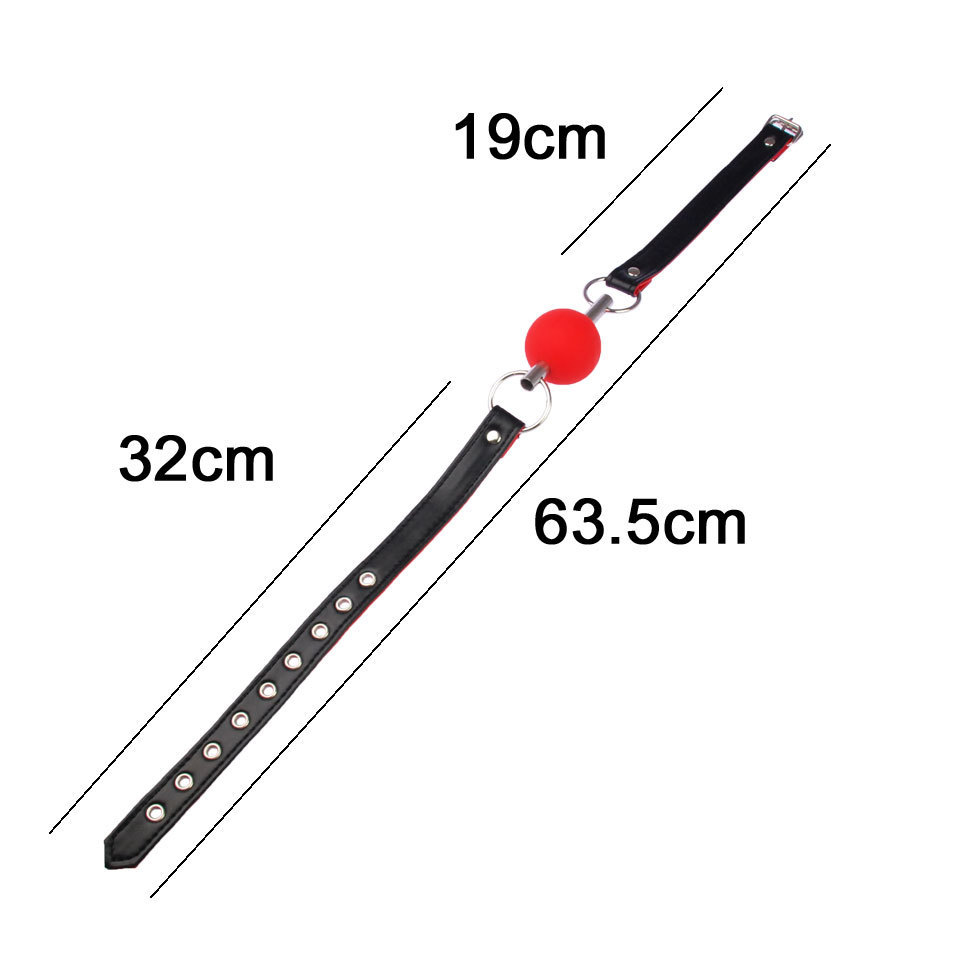 A-One SM 調教 訓練口枷球-SING DR