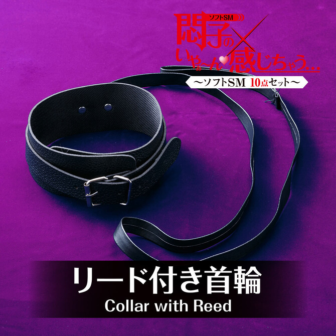 T-BEST 悶子的SM凌辱入門十件裝