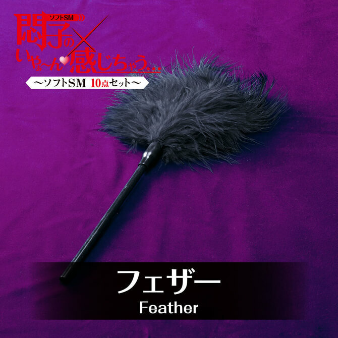 T-BEST 悶子的SM凌辱入門十件裝