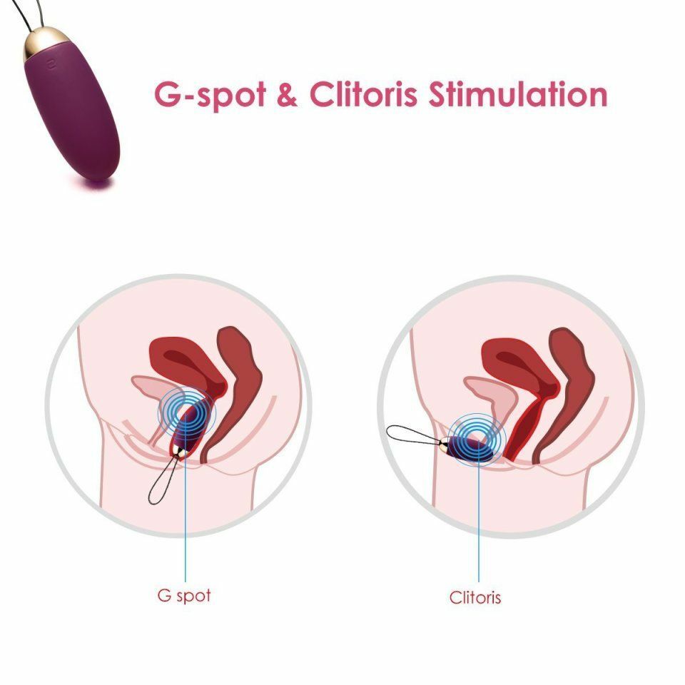 Svakom Elva 無線遙控震動器 (紫色/粉紅色)-SING DR