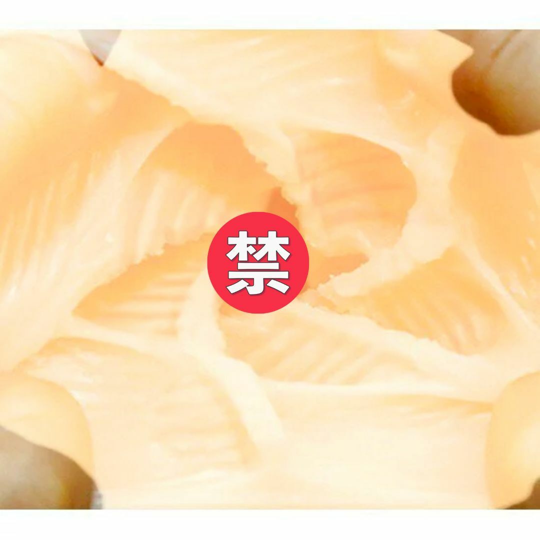 Tamatoys 囂張的親戚女高生纏綿淫穴 飛機杯-SING DR