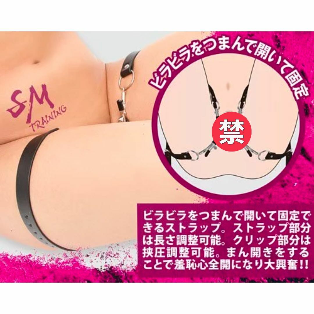 A-One SM 調教 陰唇開口夾-SING DR