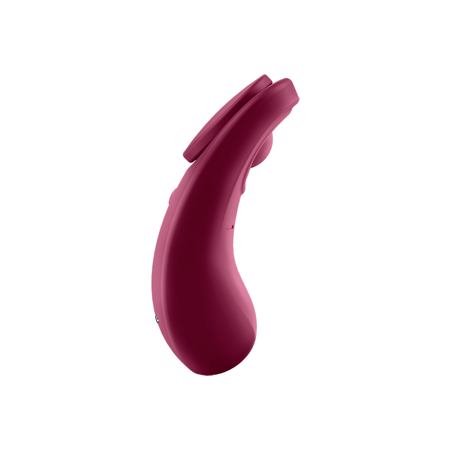 Satisfyer Sexy Secret 手機遙控內褲震動器-SING DR