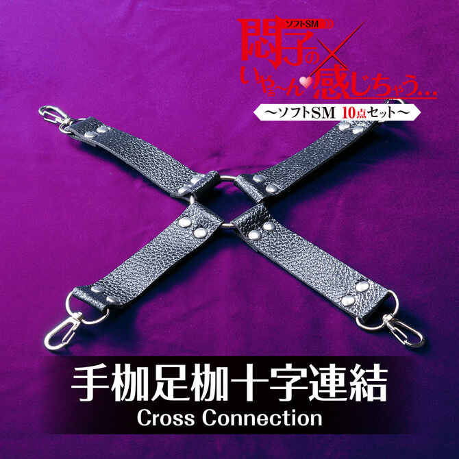 T-BEST 悶子的SM凌辱入門十件裝