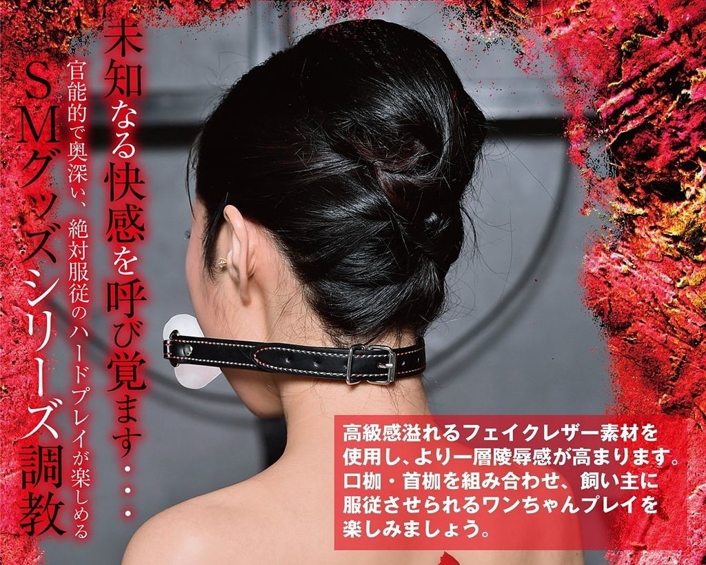 A-One SM 調教 骨頭型口枷-SING DR