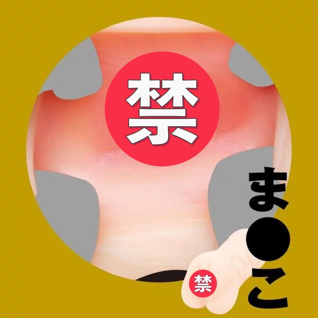 EXE Japanese Real Hole 安齋拉拉 口穴 女優名器飛機杯