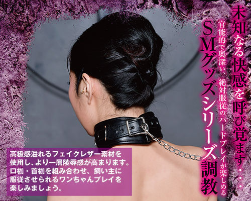 A-One SM 調教 首枷