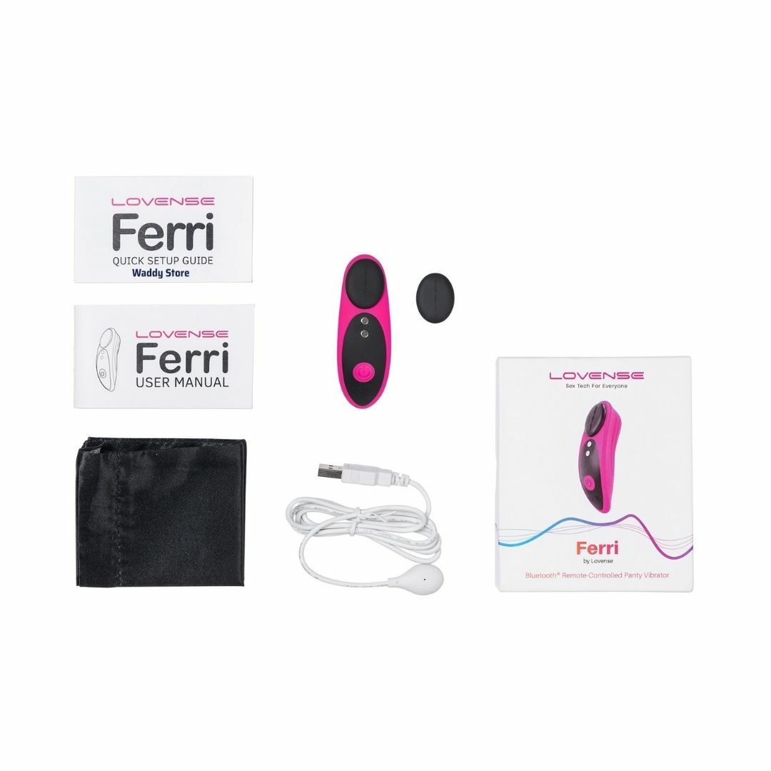 LOVENSE Ferri 智能遙控內褲震動器-SING DR