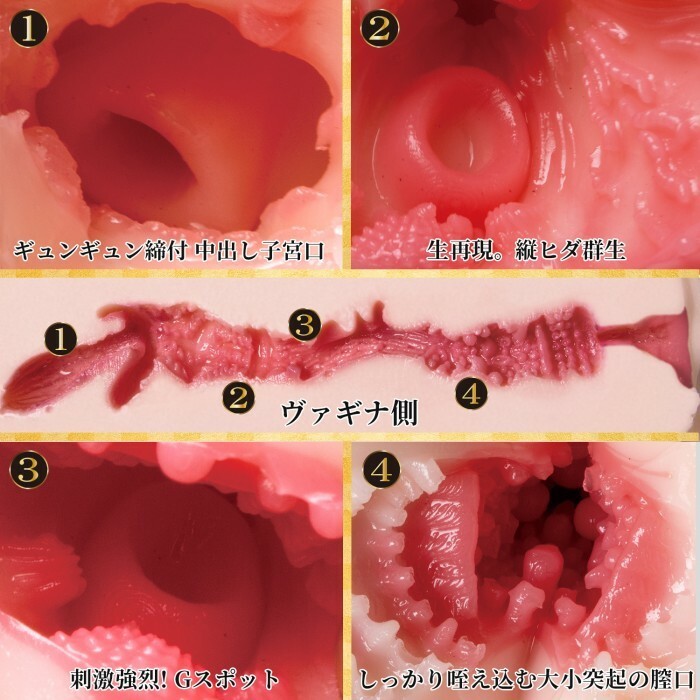 SSI Japan 極生尻 深田詠美雙穴名器，雙穴設計，5.55公斤重量，帶來真實的體驗感受。