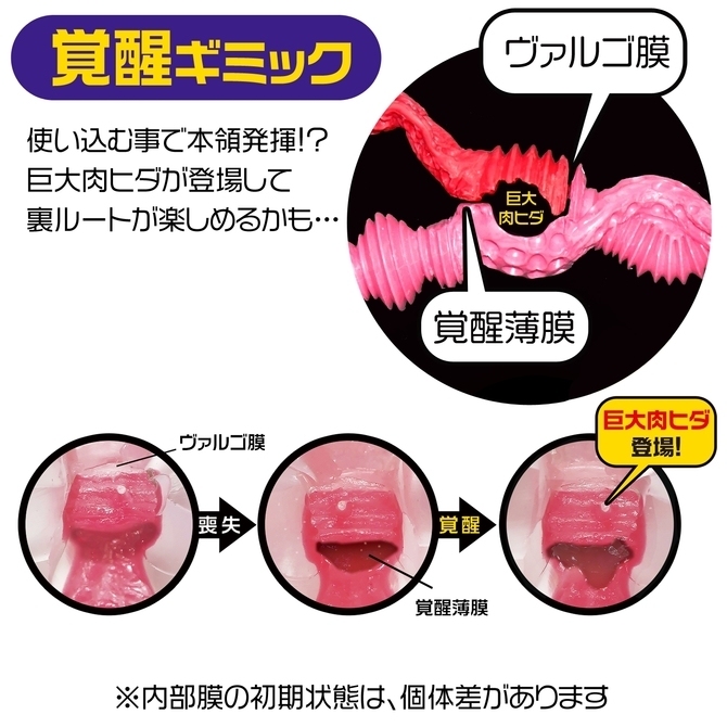 Magic Eyes 極彩玫瑰情人 硬版 雙穴飛機杯-SING DR