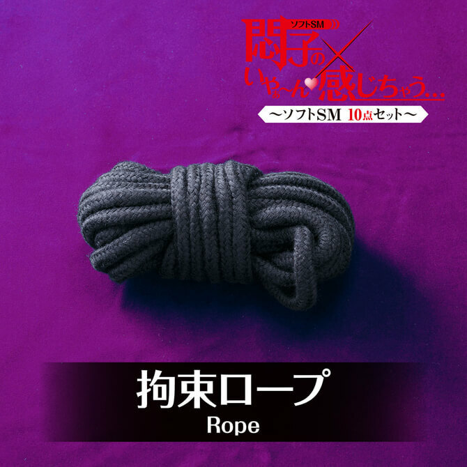 T-BEST 悶子的SM凌辱入門十件裝