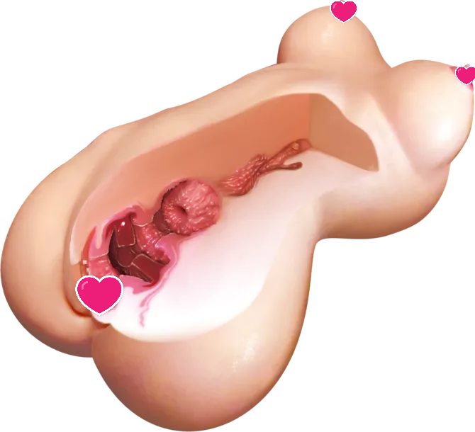 Magic Eyes 極彩名器 Pure Bride 處女宮 小山内理念 動漫飛機杯  1.4kg-SING DR