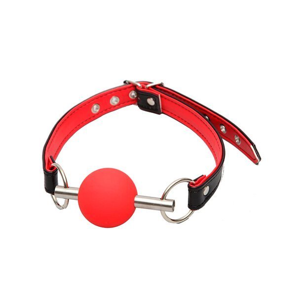 A-One SM 調教 訓練口枷球-SING DR