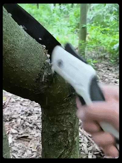 下载-(4)[00_00_14--00_00_19].gif