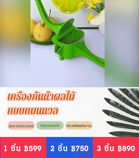 เครื่องคั้นน้ำผลไม้แบบแมนนวลรุ่นฮิต