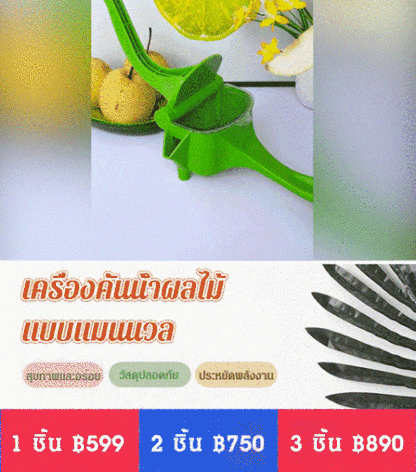 เครื่องคั้นน้ำผลไม้แบบแมนนวลรุ่นฮิต